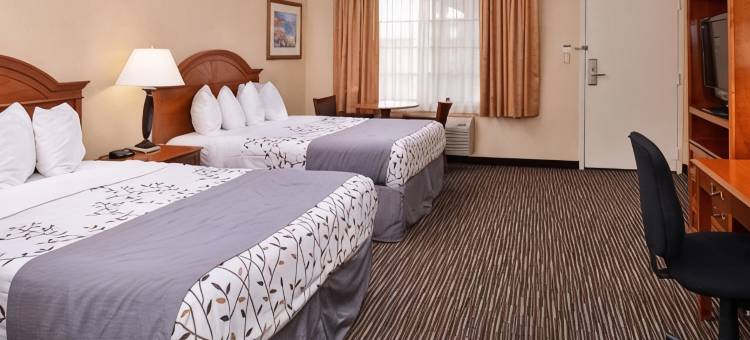 机场公园贝斯特韦斯特酒店(Best Western Airpark Hotel - Los Angeles LAX Airport)图片