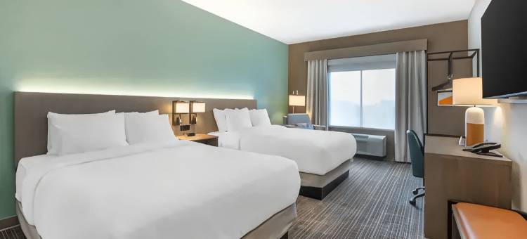 纳什维尔舒适酒店及套房(Comfort Inn & Suites)图片