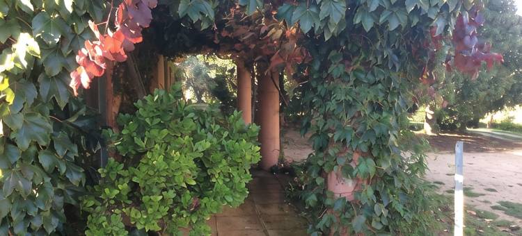 美丽的O'Connell蒙古包(The Yurt located in beautiful O'Connell)图片