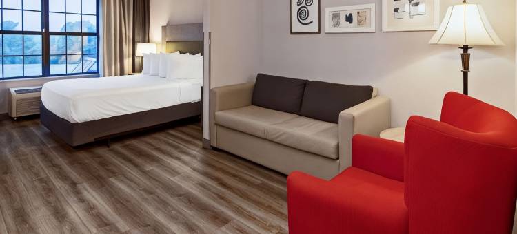 索尔兹伯里丽怡酒店(Country Inn & Suites by Radisson, Salisbury, MD)图片