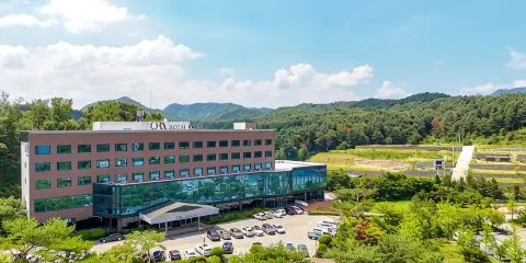 春川熊酒店