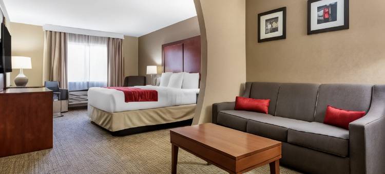 利兹I-20舒适套房酒店(Comfort Inn & Suites Leeds I-20)图片