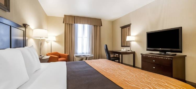 拉斯维加斯亨德森舒适套房酒店(Comfort Inn & Suites Henderson - Las Vegas)图片