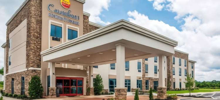舒适套房旅馆(Comfort Inn & Suites East Ellijay)图片