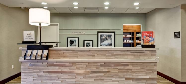 底特律特洛伊欢朋套房酒店(Hampton Inn & Suites Detroit/Troy)图片