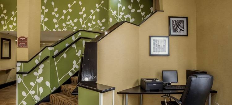 北湖舒眠酒店(Sleep Inn Northlake)图片