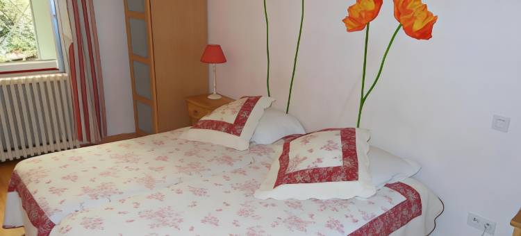 洛伊乐普林通斯酒店(Logis le Printemps Hôtel Restaurant - Montélimar)图片