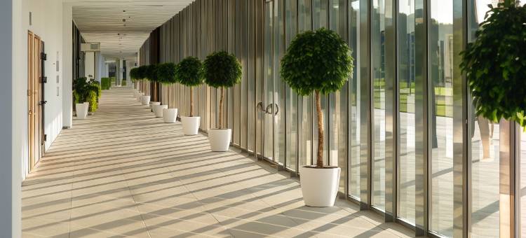 Kampus Sberuniversiteta Hotel图片