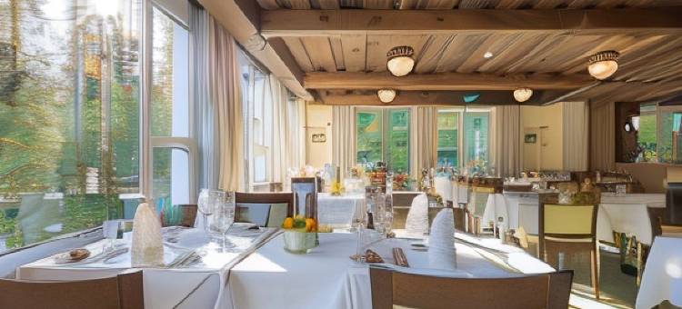 阿罗撒太阳之星酒店(Sunstar Hotel Arosa)图片