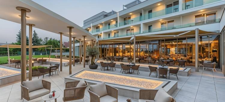 Vinifera葡萄酒与温泉酒店(Hotel Vinifera Wine & Spa)图片