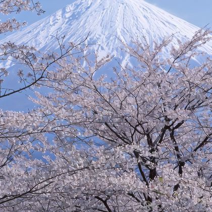 日本东京+富士山5日4晚拼小团