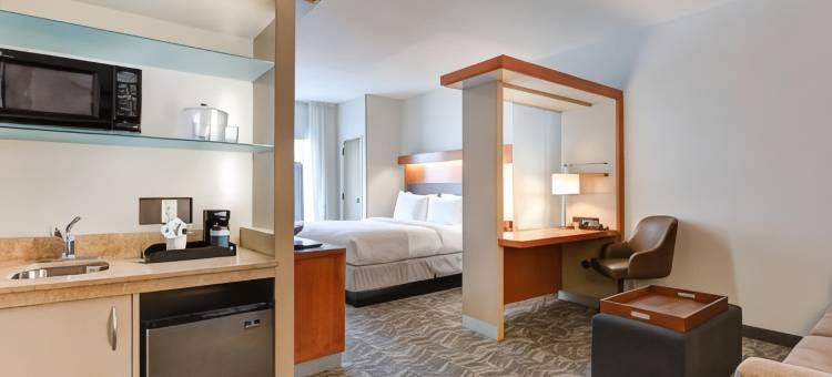 什里夫波特伯锡尔城/路易斯安那唐斯万豪SpringHill酒店(SpringHill Suites Shreveport-Bossier City/Louisiana Downs)图片