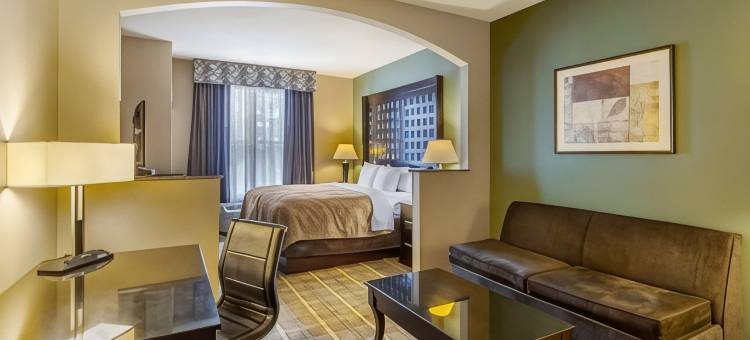 谢尔曼康福特套房酒店(Quality Suites Sherman)图片