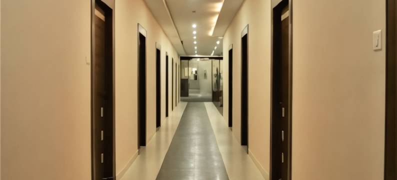 维纳亚克宫酒店(Hotel Vinayak Palace)图片