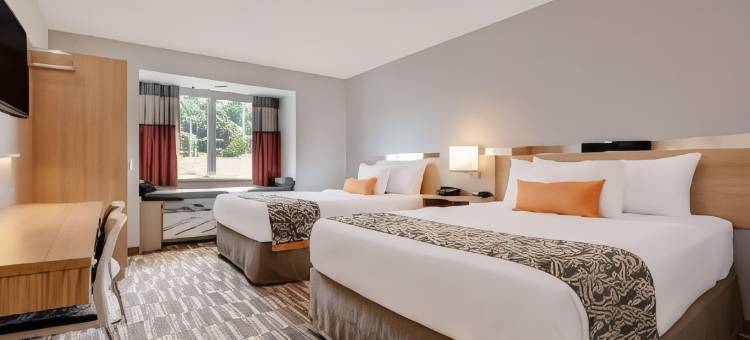 凯隆温德姆套房麦客达酒店(Microtel Inn & Suites by Wyndham Clarion)图片