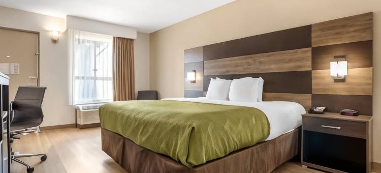 品质酒店及会议中心(Quality Inn & Conference Center Panama City)图片