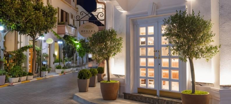 莫尼亚精品酒店(Moenia Boutique Hotel)图片