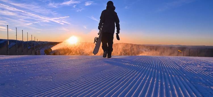 Hotham Central Ski Out Studio w/ pool, spa & sauna图片