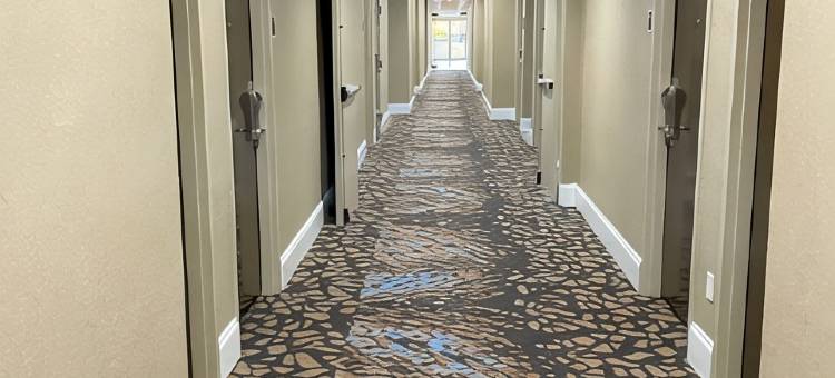 尼斯维尔-德斯廷贝斯特韦斯特酒店(Best Western Niceville-Destin)图片