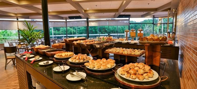 里贝朗普雷托马蒂兹维拉博伊姆酒店(Matiz Vilaboim Ribeirão Preto)图片