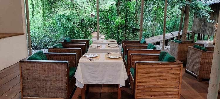 塔太彩虹小屋(Rainbow Lodge)图片