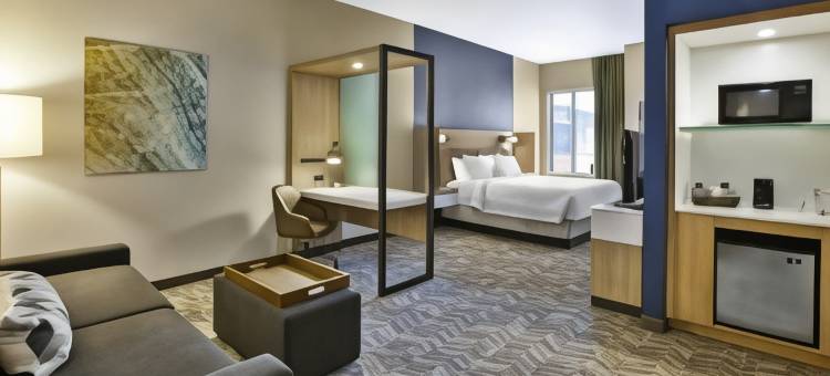 匹兹堡巴特勒中城SpringHill Suites酒店(SpringHill Suites Pittsburgh Butler/Centre City)图片