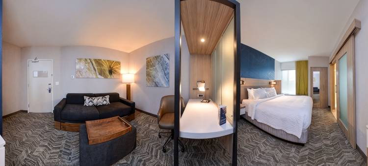 伊丽莎白敦万豪SpringHill Suites酒店(SpringHill Suites Elizabethtown)图片