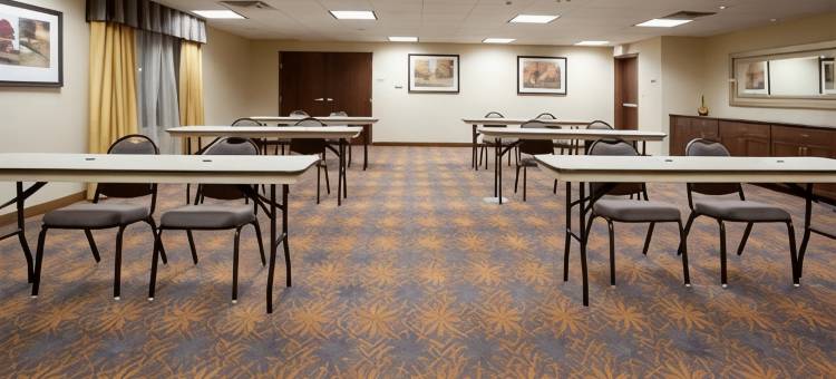 智选假日套房酒店拉马尔(Holiday Inn Express & Suites LAMAR by IHG)图片