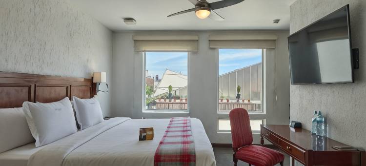阿雷基帕尊贵卡萨安迪娜酒店(Casa Andina Premium Arequipa)图片