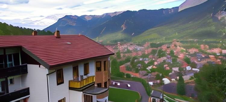 卡尔尼龙堡酒店(Hotel-Garni Drachenburg)图片