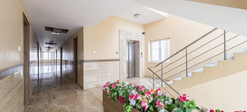 Treebo Ess Grande图片