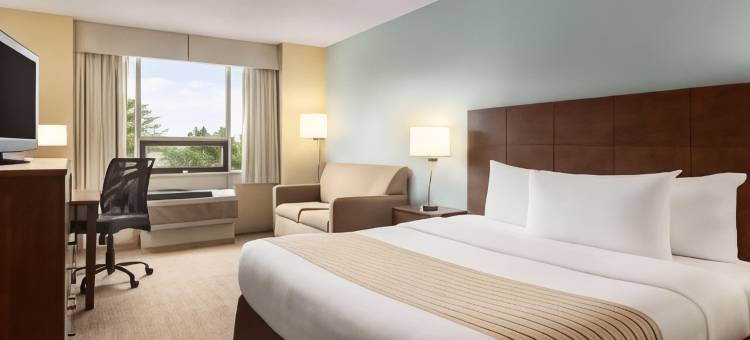Travelodge by Wyndham Sydney图片