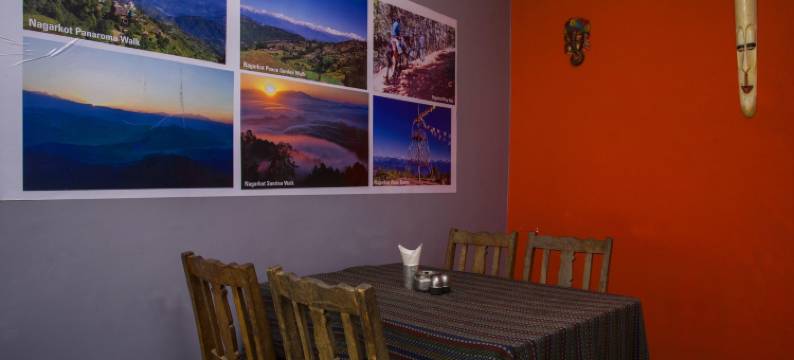 纳加尔廓特蓝塘景酒店(Langtang View Nagarkot Bed and Breakfast)图片