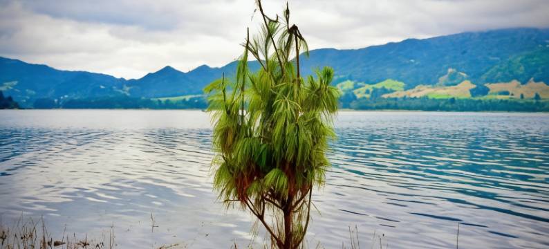 Cabaña Agrreste图片