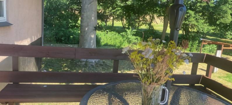 瑞士丹斯瓦豪小屋(Residens Svalhøj)图片