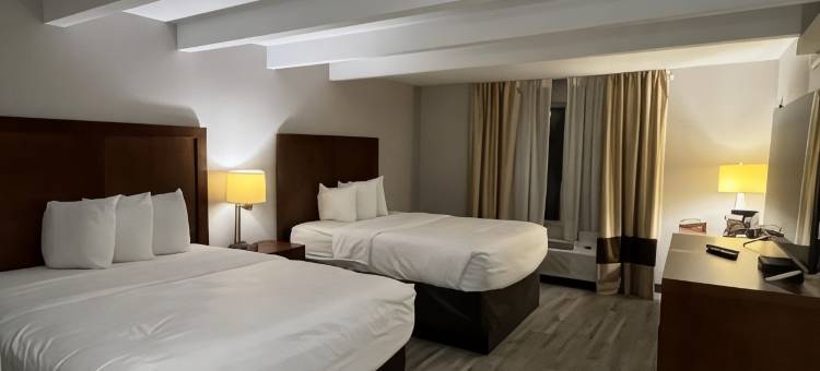 巴特尔克里克品质酒店(Country Inn & Suites by Radisson, Battle Creek, MI)图片