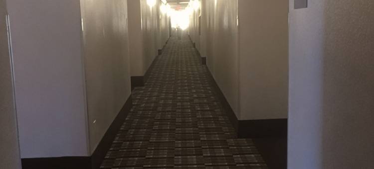 印地欧温德姆戴斯酒店(Days Inn by Wyndham Indio)图片