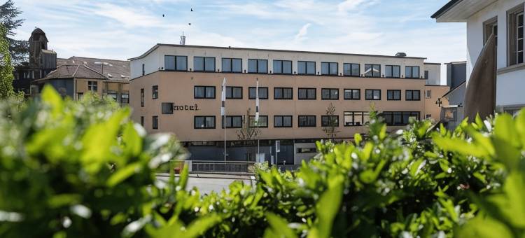 舍嫩韦德 b 智能酒店(B-Smart Hotel Schönenwerd)图片