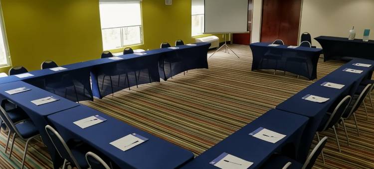 智选假日套房酒店梅宾(Holiday Inn Express & Suites Mebane)图片
