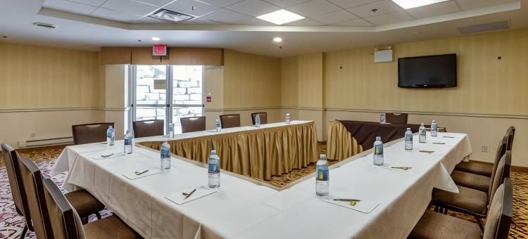 蒙地卡罗及套房市中心万锦酒店(Monte Carlo Inn & Suites Downtown Markham)图片