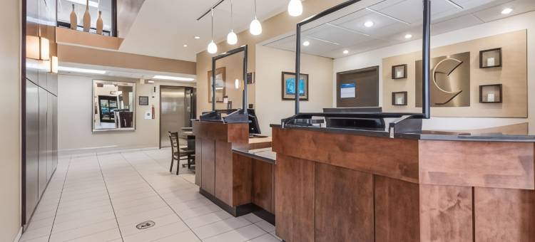 舒适酒店(Comfort Inn)图片