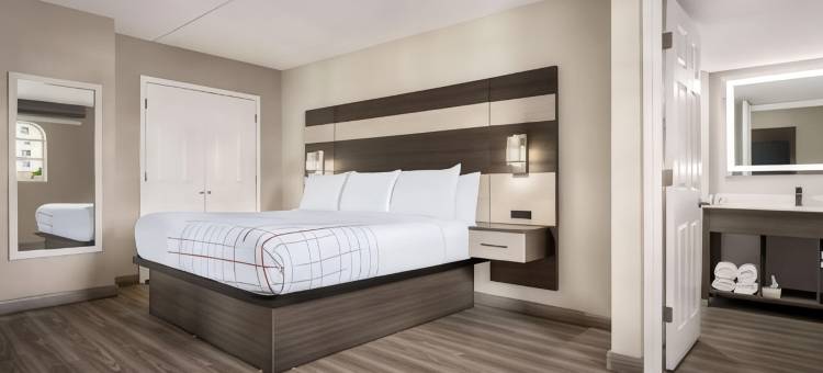 列克星敦拉昆塔温德姆酒店(La Quinta Inn Lexington/Horse Park)图片