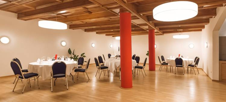 维连根-宪汶宁多梅洛酒店(Dormero Hotel Villingen-Schwenningen)图片