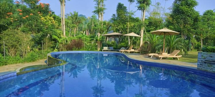 萨尔加尔辛度假村(Sarga Earthing Resort)图片