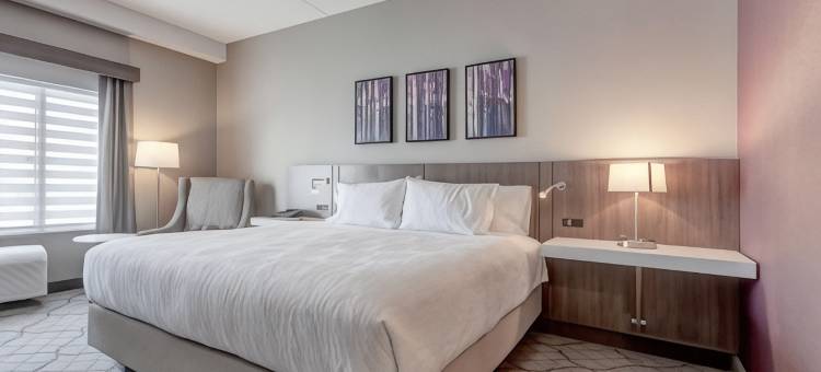 多伦多布兰普顿西希尔顿花园酒店(Hilton Garden Inn Toronto/Brampton West)图片