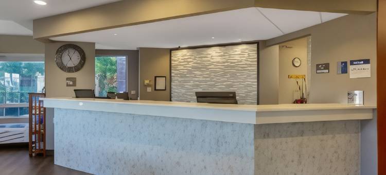 奇黑利斯公园贝斯特韦斯特优质套房酒店(Best Western Plus Park Place Inn  Suites)图片