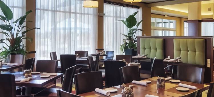 休斯顿皮尔兰希尔顿花园酒店(Hilton Garden Inn Houston-Pearland)图片