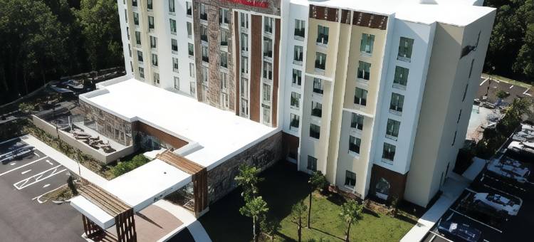 佛罗里达坦帕 - 韦斯利查普尔希尔顿花园酒店(Hilton Garden Inn Tampa - Wesley Chapel)图片