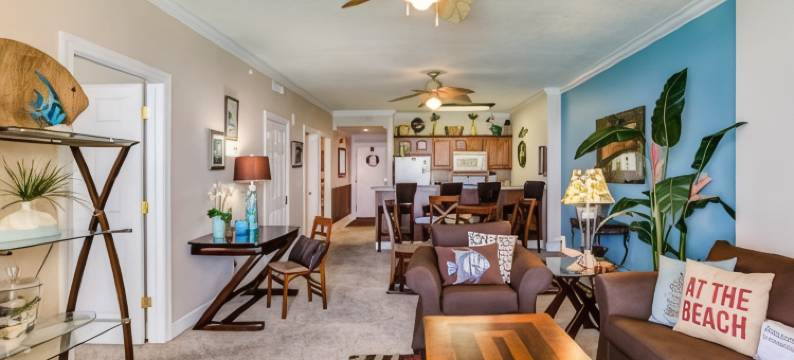 Ocean Reef 805图片