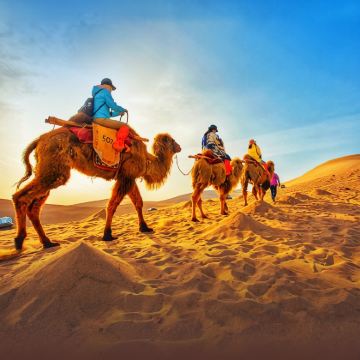 户外活动·【探索丝绸之路】青海+甘肃大环线7日亲子营【青海湖骑行+沙漠骑骆驼+骑马体验+摄影师全程旅拍】多元化课堂·领略大西北12种地貌【人文+历史+地质】敦煌研究院游学课程，打卡网红热门+深度体验西域民俗文化